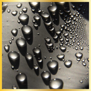 Auto Kults Detailing Product Paint Protection