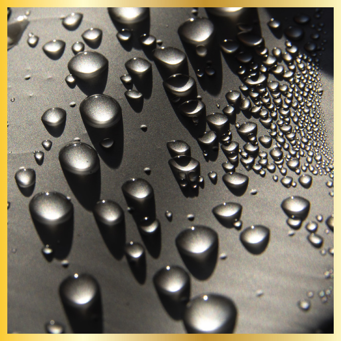Auto Kults Detailing Product Paint Protection